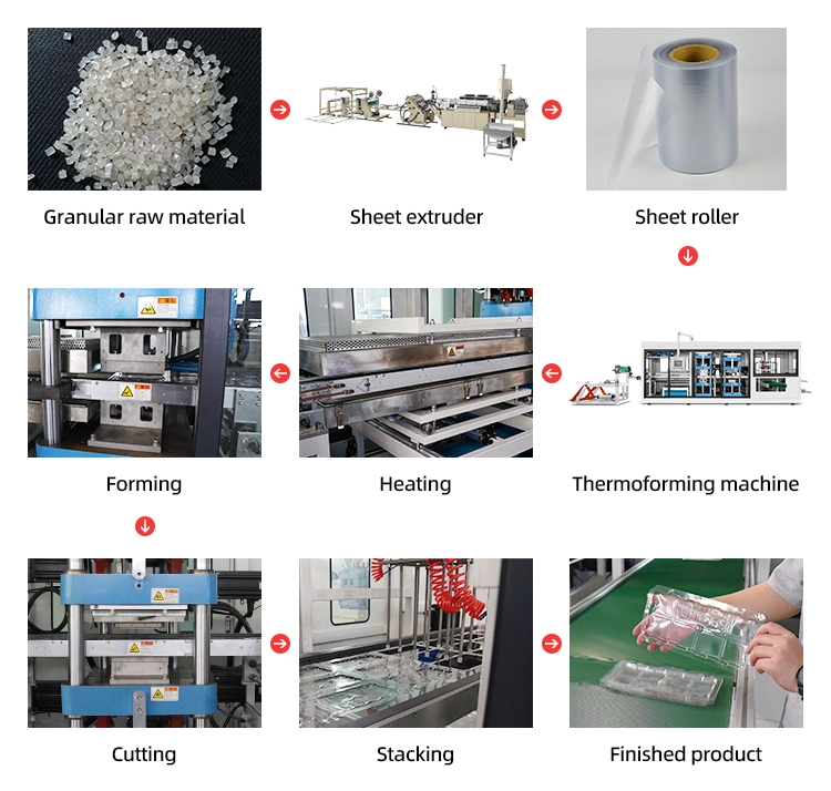 Fully Automatic Food Containers Thermocol Thermoforming Production Machine