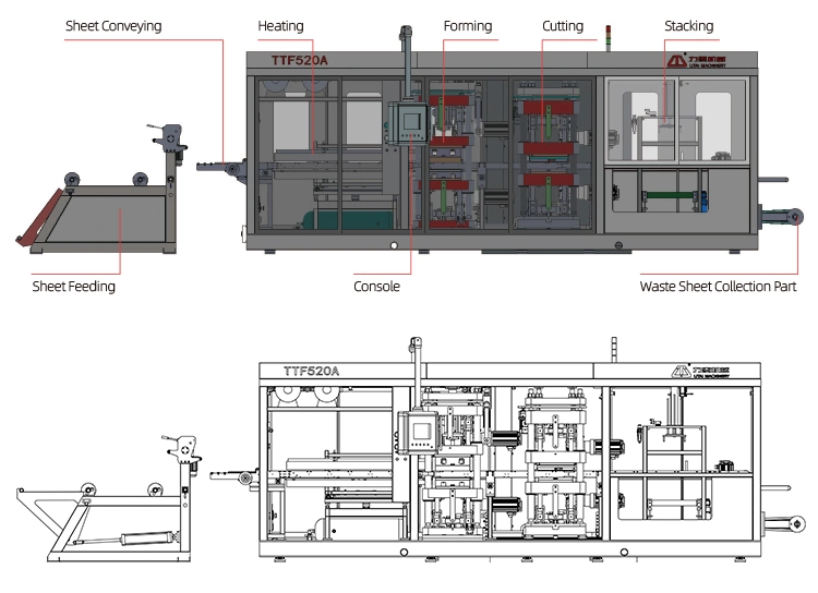 Fully Automatic Food Containers Thermocol Thermoforming Production Machine